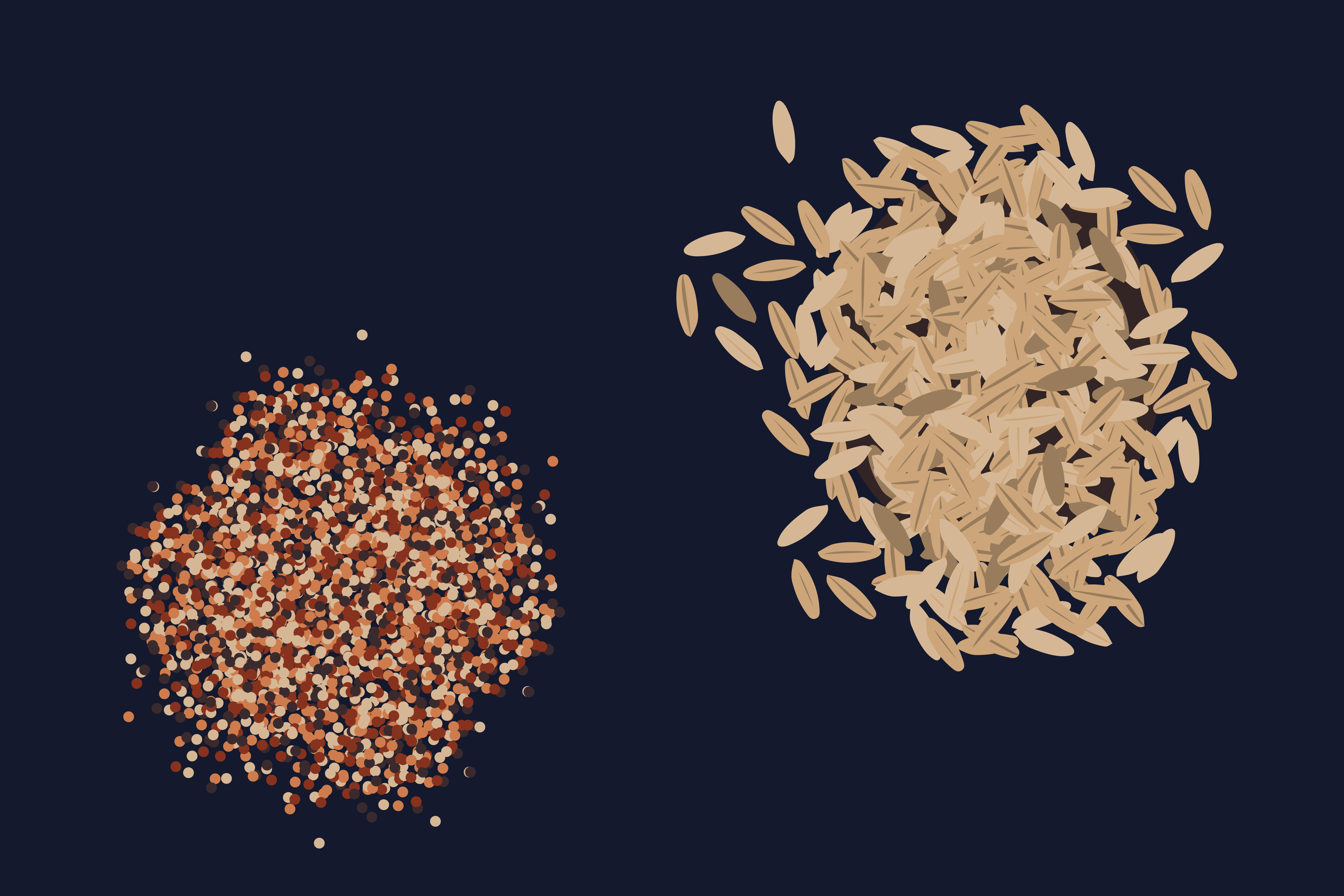 Which is better for you? Farro vs. Quinoa